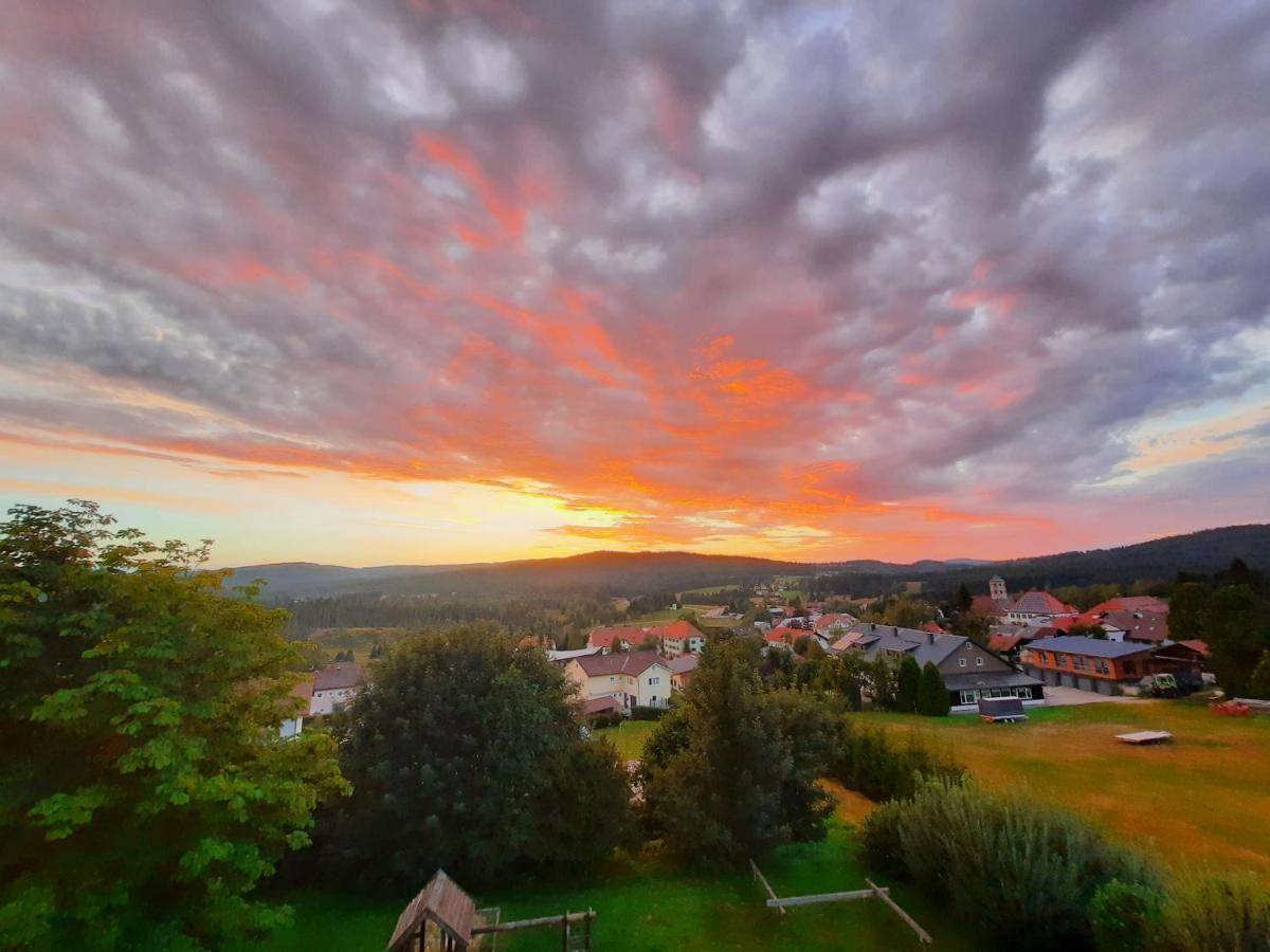 Appartement 13 Im Haus Dreisessel Haidmühle 外观 照片