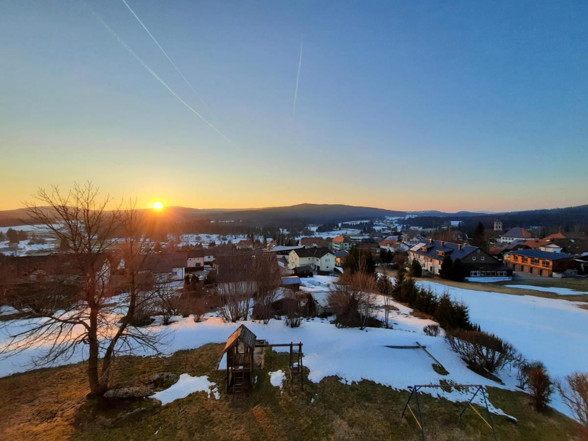 Appartement 13 Im Haus Dreisessel Haidmühle 外观 照片