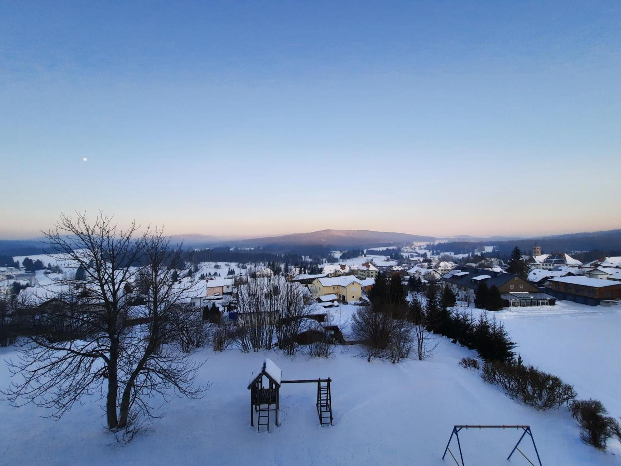 Appartement 13 Im Haus Dreisessel Haidmühle 外观 照片
